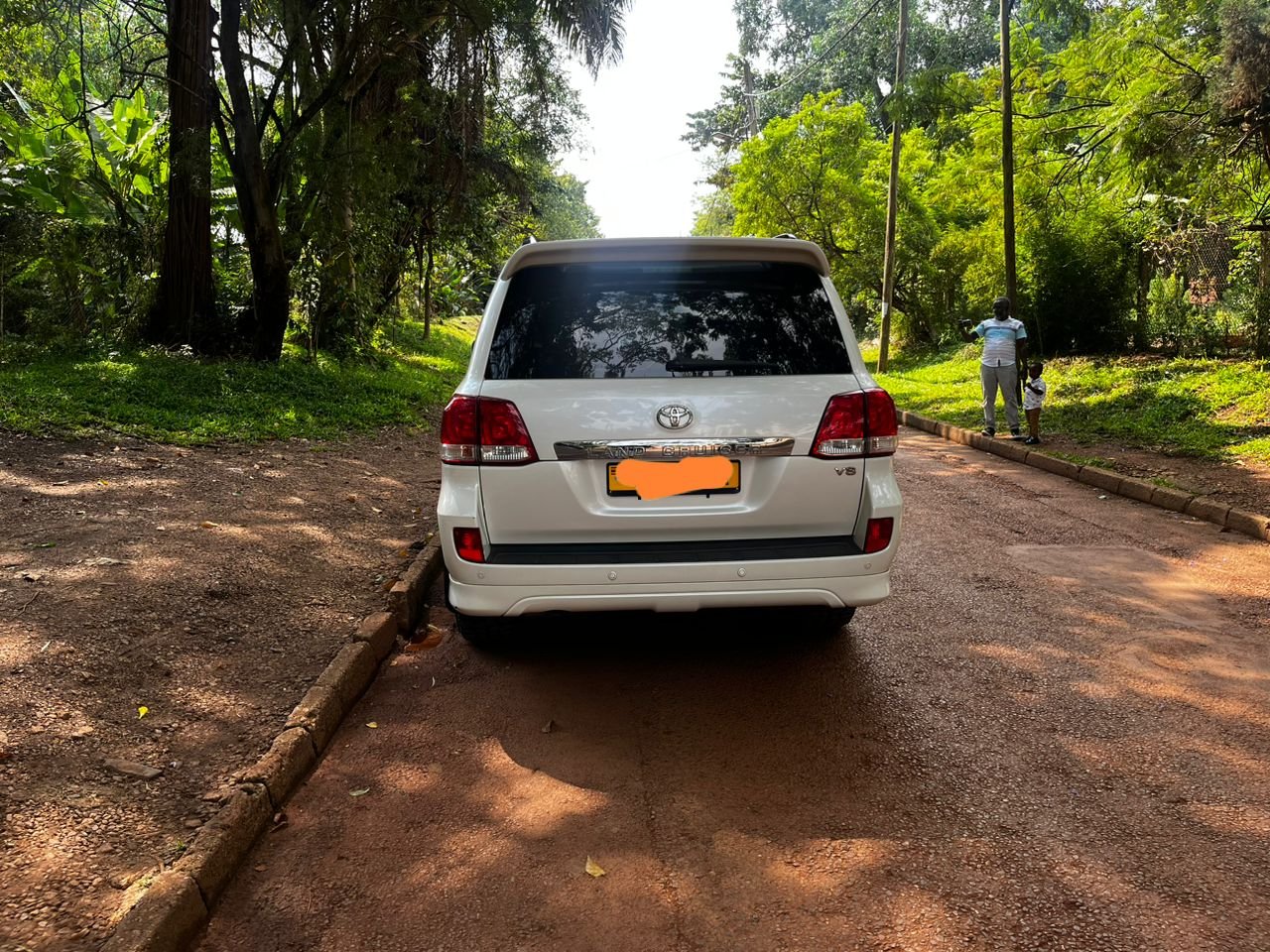 A picture of 2016 Toyota Land Cruiser v8