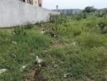 A picture of A plot fr sale