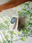 A picture of Nokia 3310