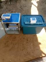 incubator