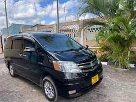 A picture of ALPHARD INAUZWA BEI ML 12 0712445511