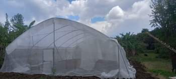 A picture of GREEN HOUSE 10 15