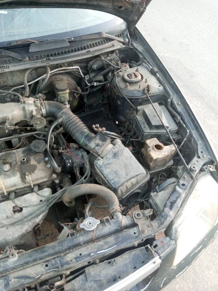 A picture of Mazda f