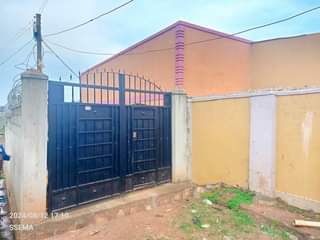 A picture of House