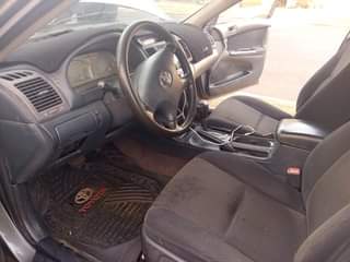 A picture of Camry Big Daddy 04
