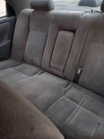 A picture of awoof awoof