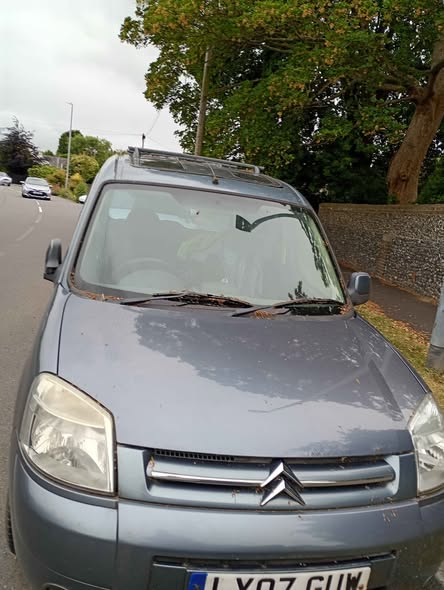 citroen berlingo