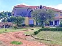Ewekyuka K.