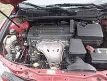 A picture of SUPER CLEAN SPIDER 2008 belgium grade BUY and MOVE PRICE