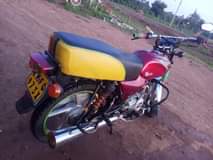 A picture of Boxer 100
