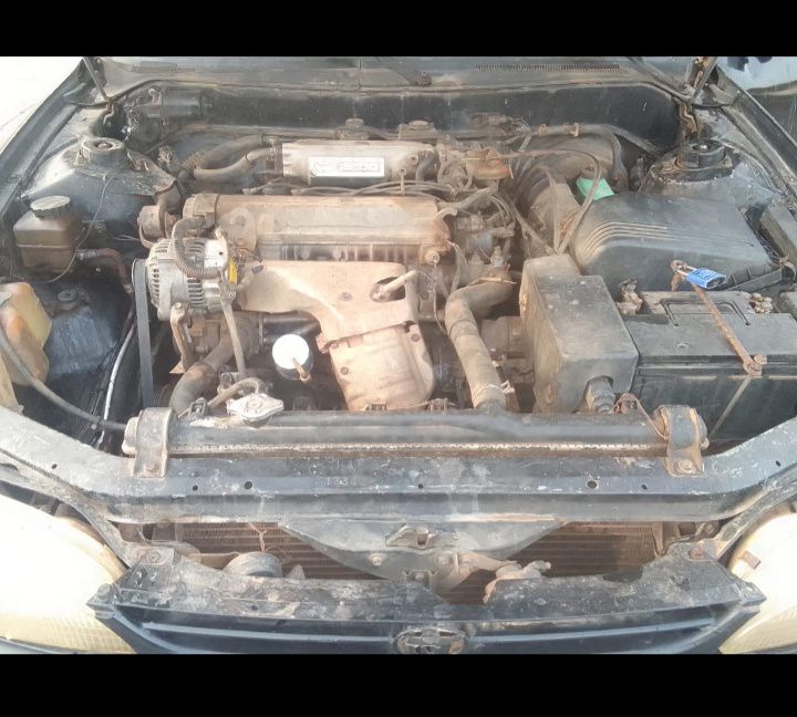 A picture of Camry Orobo 08130805979