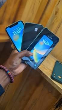 A picture of iPhone 11 plain