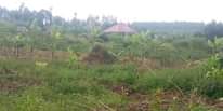 A picture of  PLOT ON QUICK SALE MATUGGA KIWEBWA kampomedde Size 50x100ft.
