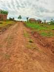 A picture of NKOWE ESTATE WAKISO TOWN 50BY100 WITH READY LAND TITLE AT