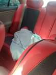 A picture of Toyota Camry SE
