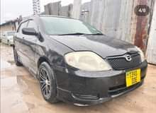 A picture of Royota runex