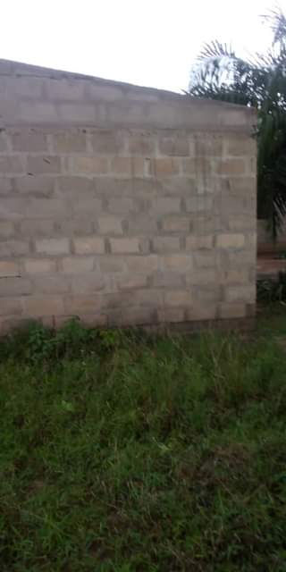 A picture of Banda la chumba k1