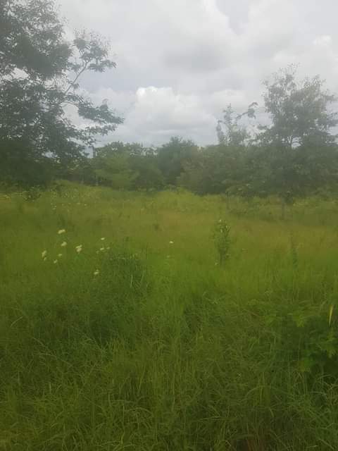 kiwanja