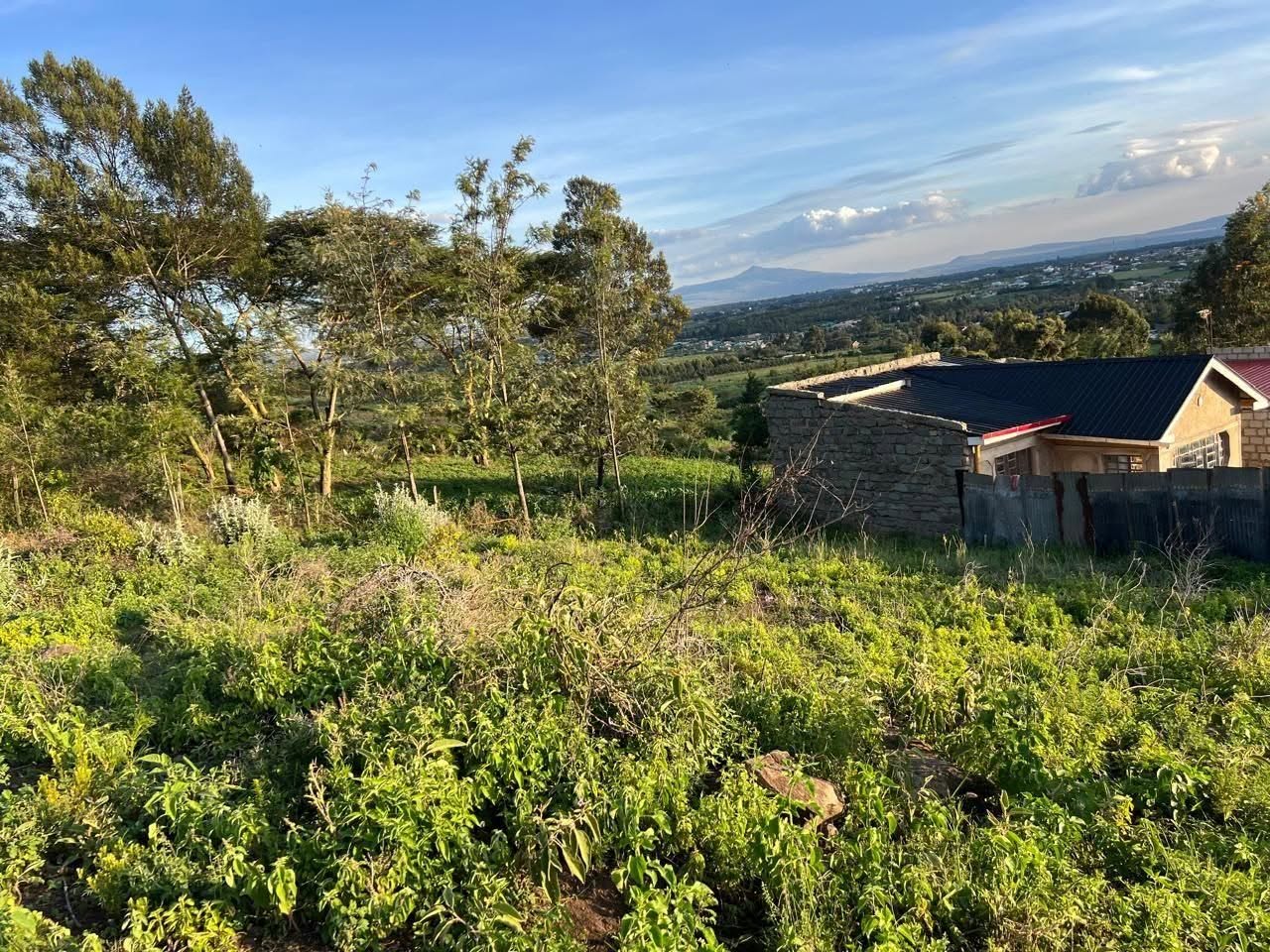 kenya plots