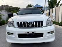 A picture of Prado 120