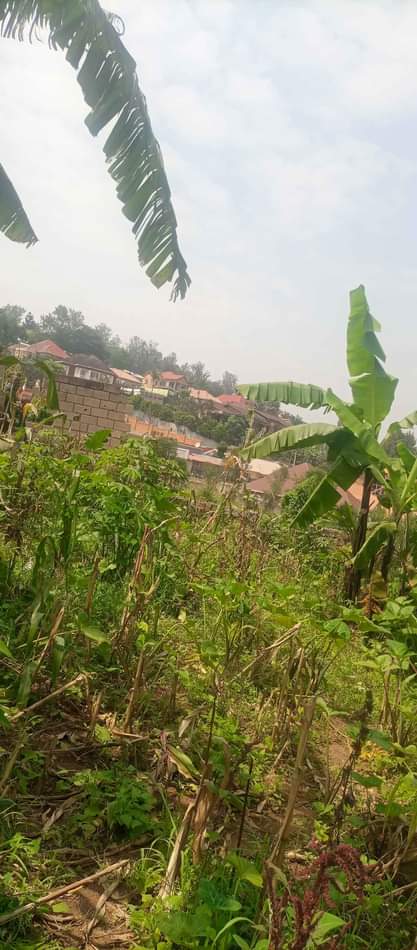 kagugu accommodation