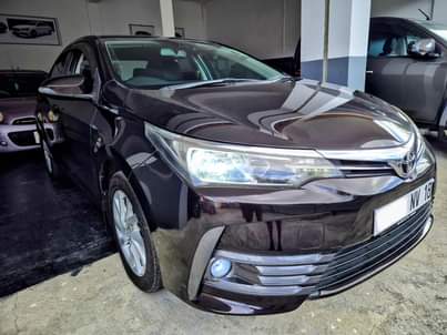used toyota corolla