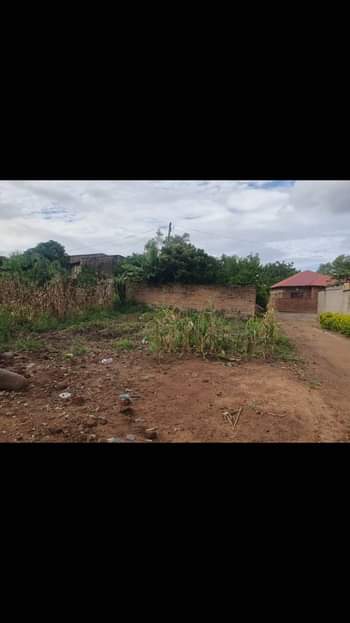 land