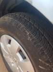 A picture of Toyota wish