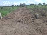 A picture of VINAUZWA LAKI 5 CALL 0786111796 0744740524