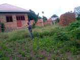 A picture of PLOT ON QUICK SALE Located at matugga sanga 1 5km