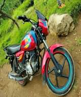 Handrison M.