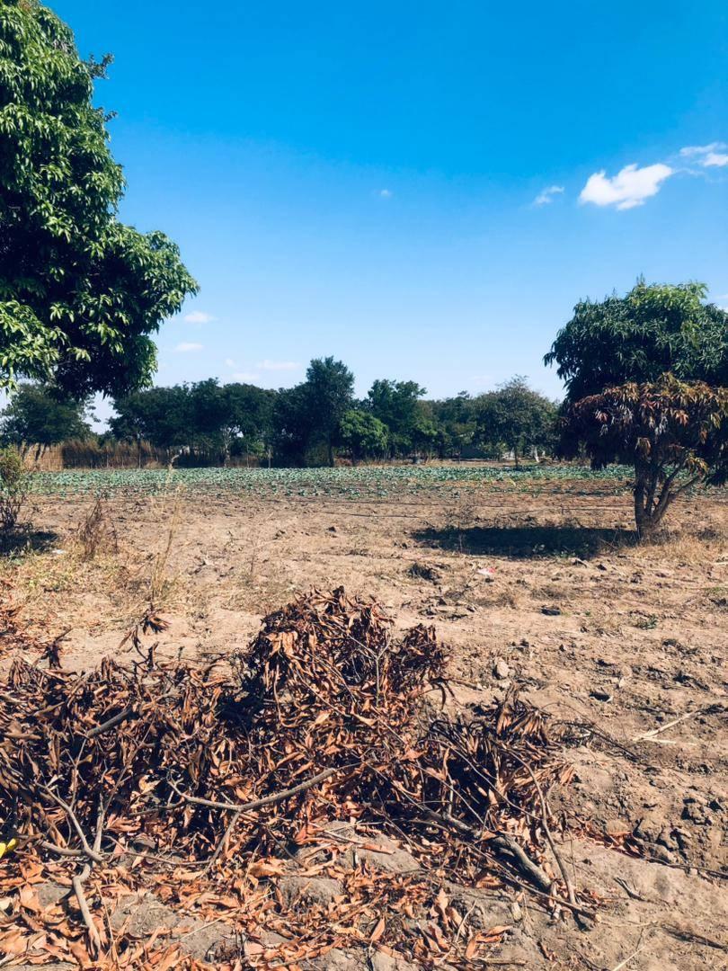zambia plots