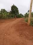 A picture of Good plots on sale Location Matuga gombe Along semuto road