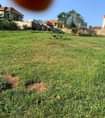 A picture of Land entebbe
