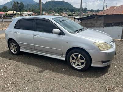 A picture of Toyota allex