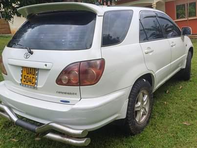 A picture of Selling harrier ordinary