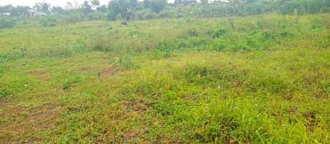 A picture of Plot with ready land title on sale 9.5m Located at
