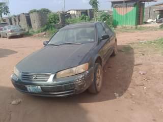 A picture of Tinny