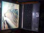 A picture of Acer