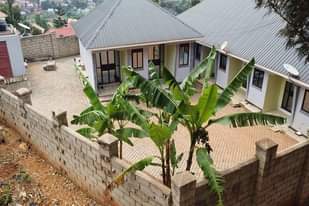 A picture of Rentals for sale in Jinja city