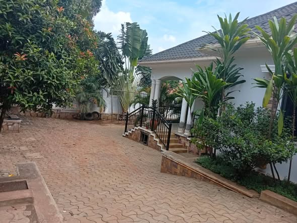 A picture of House for sale 3 bed s 14 decimal TITLE LAND