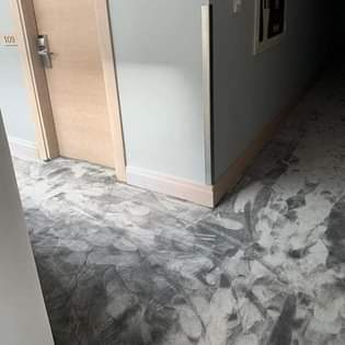 A picture of WALL TO WAL CARPETS WOOLEN CARPETS