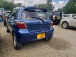 A picture of VITZ