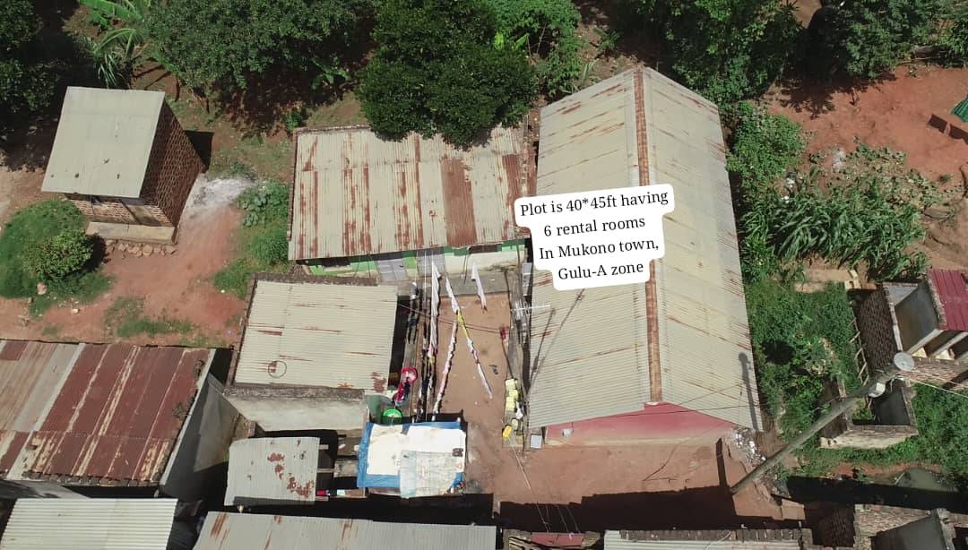 plots mukono