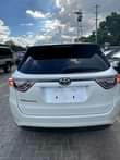 A picture of Hybrid