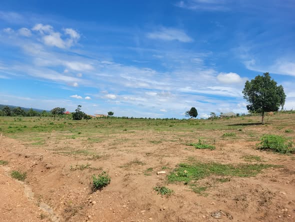 A picture of TITLED PLOT AT WAKISO GOBERO