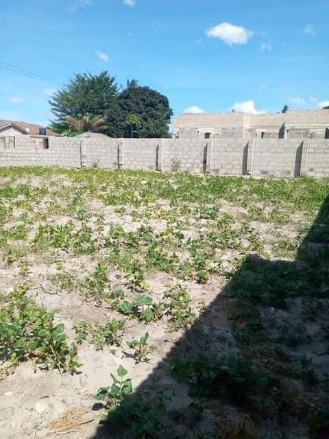 A picture of Uwanja unauzwa milioni23