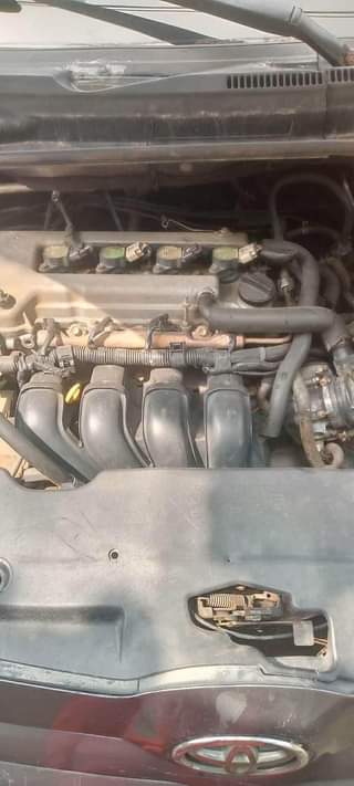 A picture of 2005 Toyota Corolla Verso