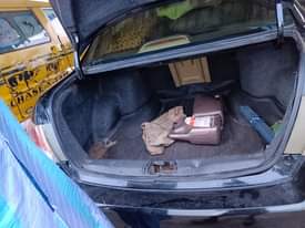 A picture of Honda Evil spirit