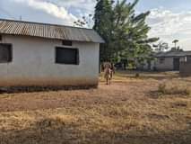 A picture of Eneo linauzwa Malimbe mwanza